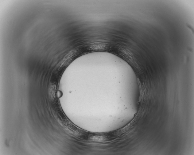 X0000100220171200806201516