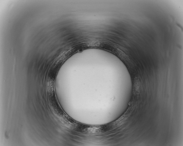 X0000100220172200806201516