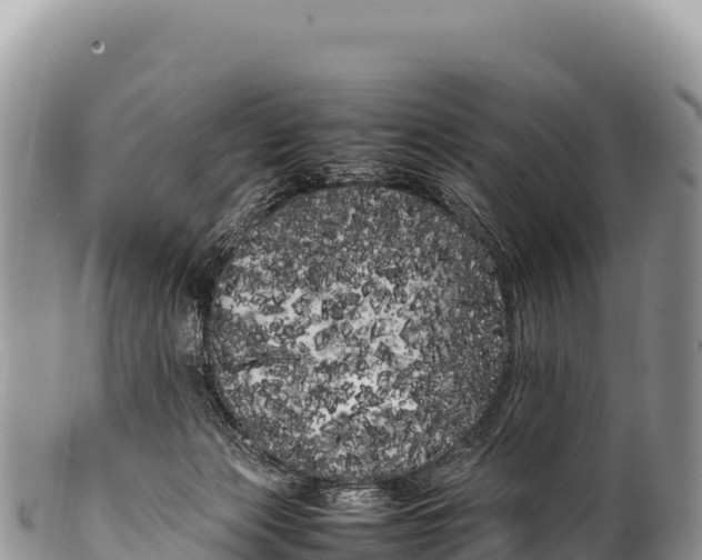 X0000100220173200806201516