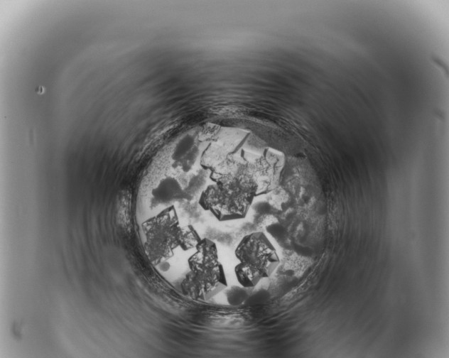 X0000100220175200806201516