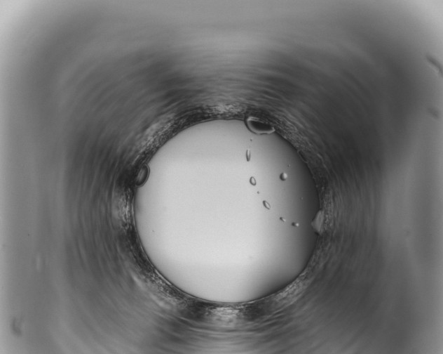 X0000100220176200806201516