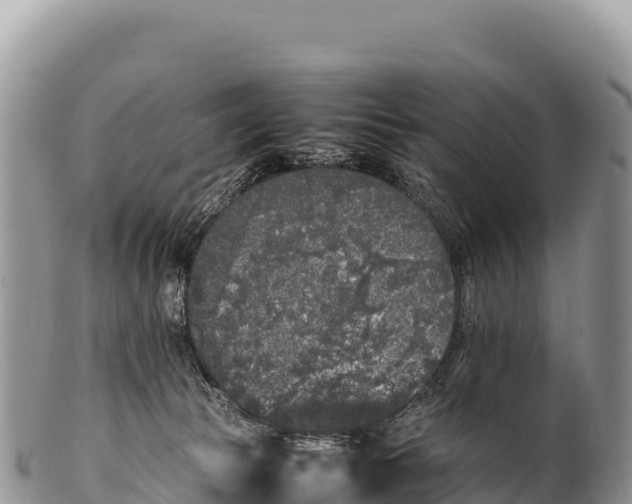 X0000100220177200806201516