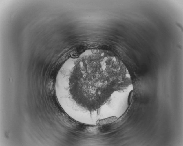 X0000100220178200806201516