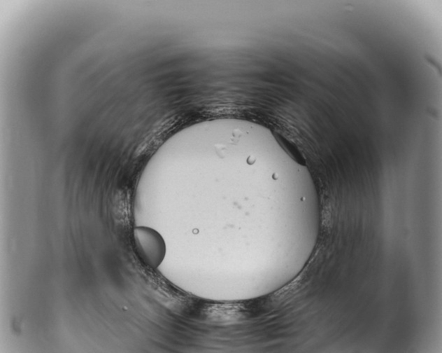 X0000100220179200806201516