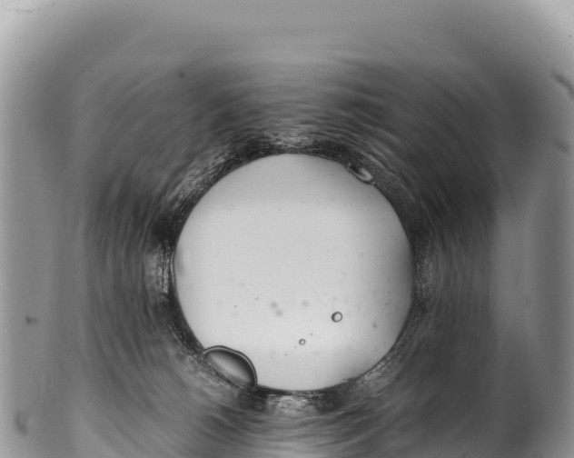 X0000100220180200806201516