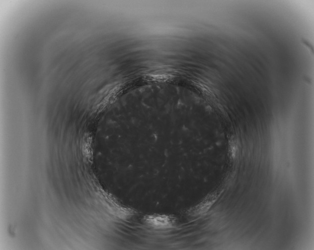 X0000100220181200806201516