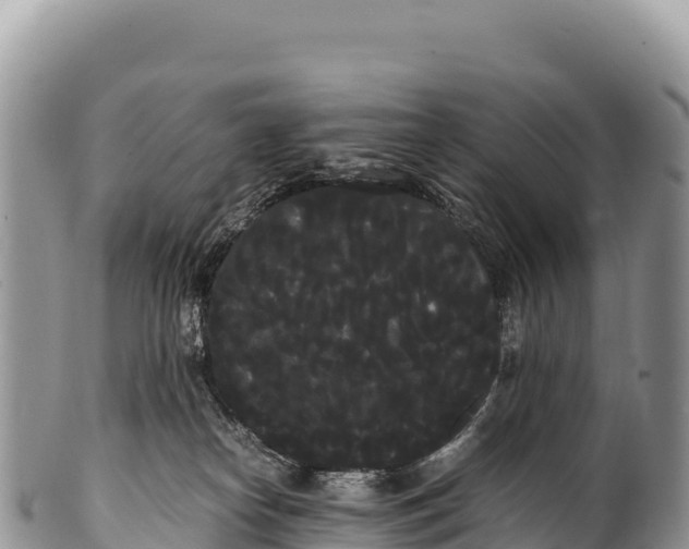 X0000100220182200806201516