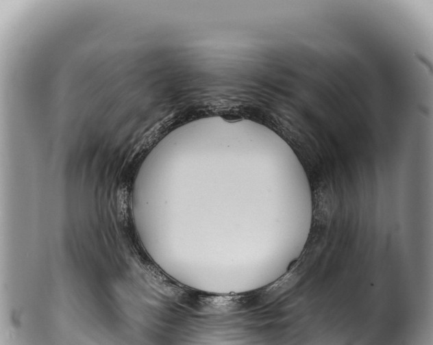 X0000100220184200806201516