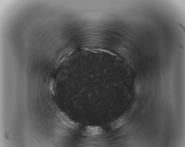 X0000100220185200806201516