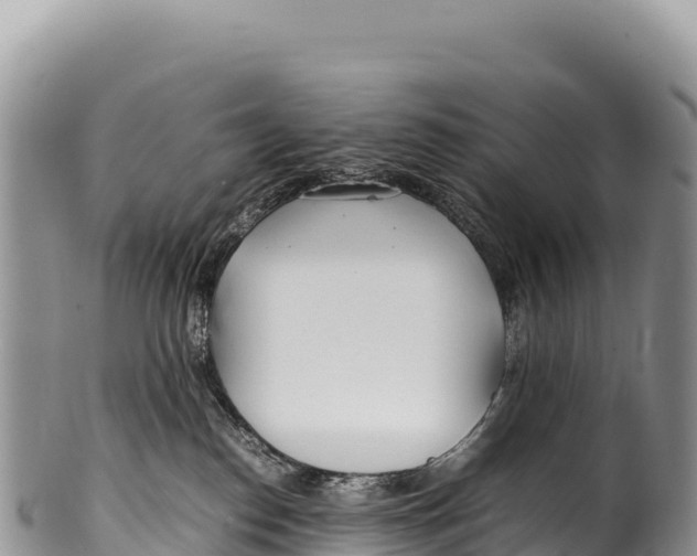 X0000100220186200806201516