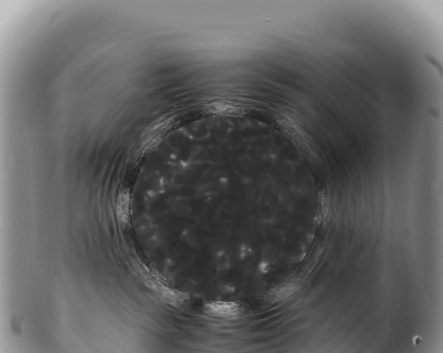 X0000100220189200806201516