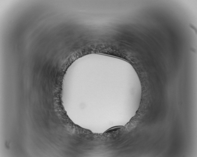 X0000100220192200806201517