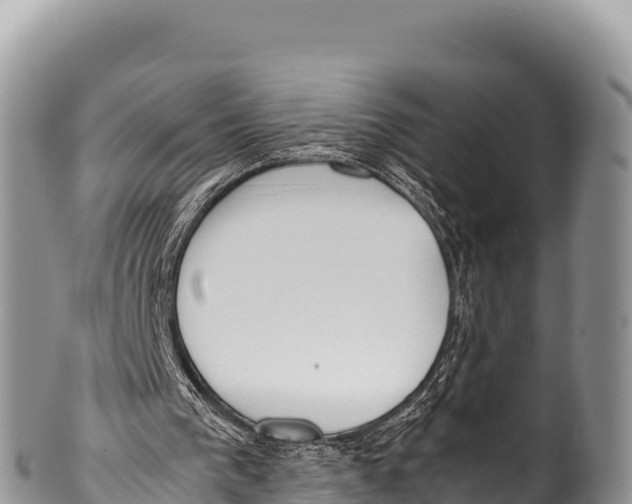 X0000100220193200806201516