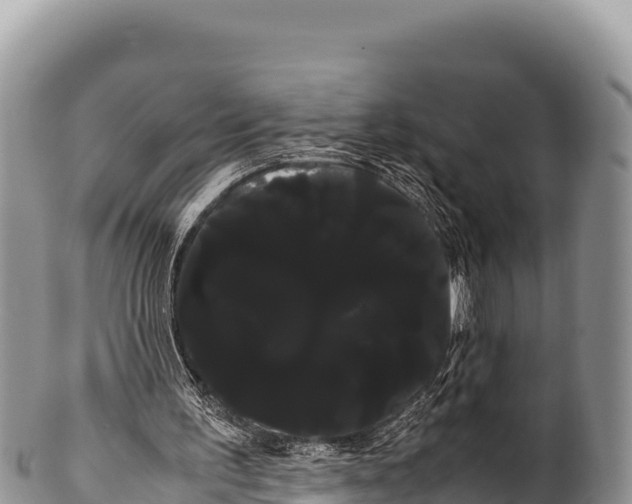 X0000100220195200806201516