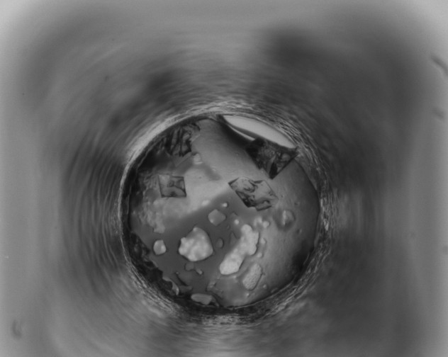 X0000100220196200806201516