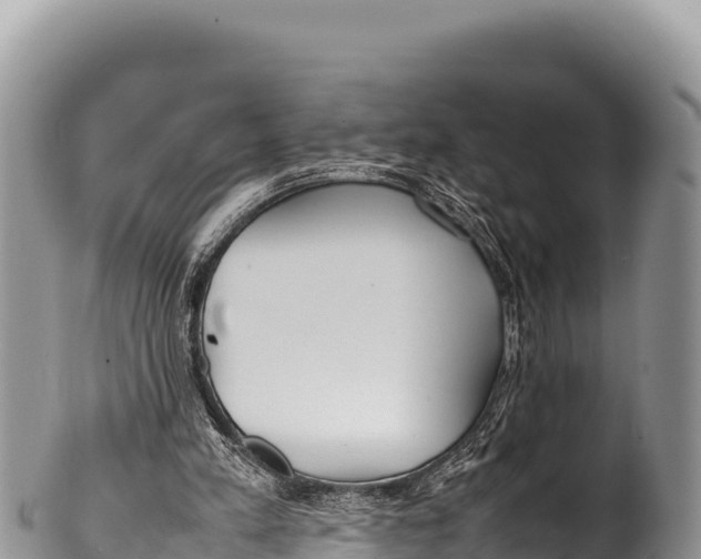 X0000100220197200806201516