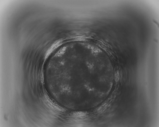 X0000100220198200806201516