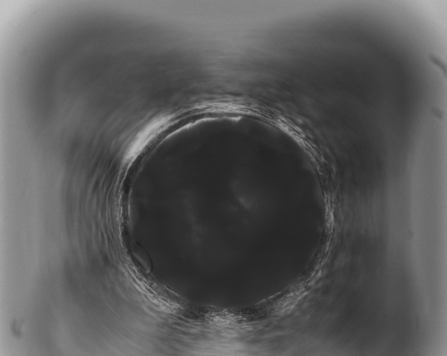 X0000100220199200806201516