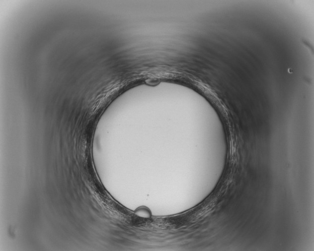 X0000100220201200806201516