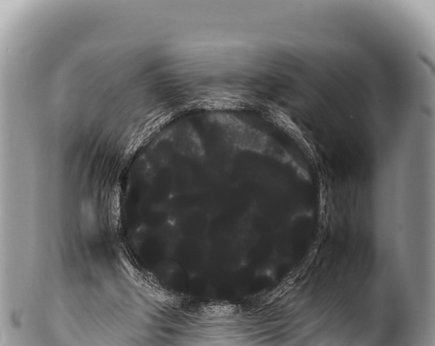 X0000100220202200806201516