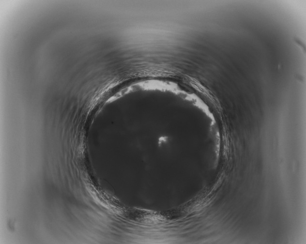 X0000100220203200806201516