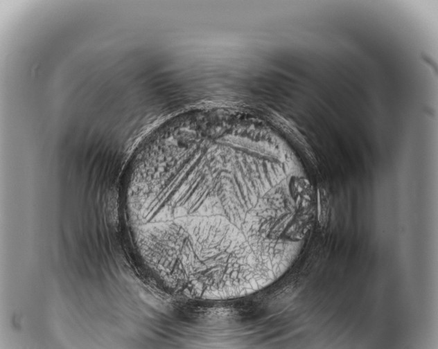 X0000100220204200806201516