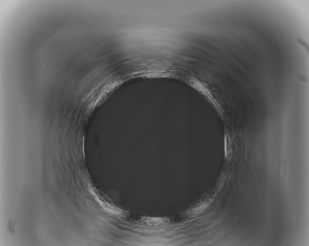 X0000100220205200806201516