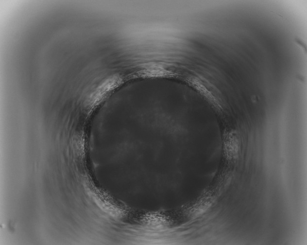 X0000100220207200806201516