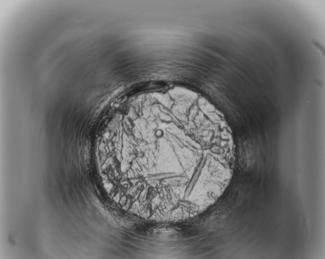 X0000100220208200806201516