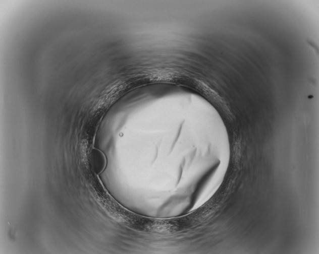 X0000100220209200806201516