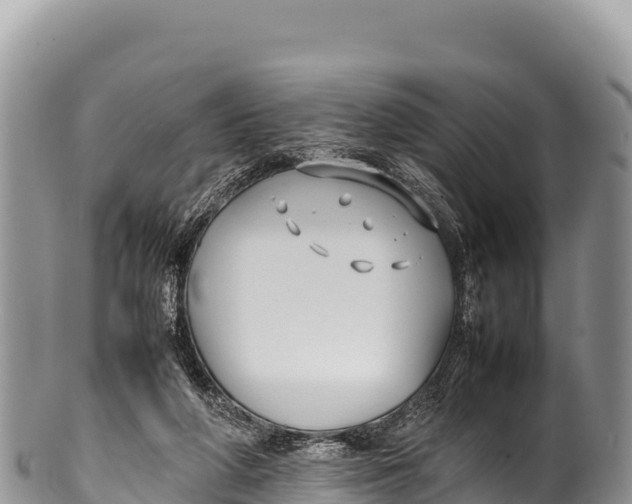 X0000100220210200806201516