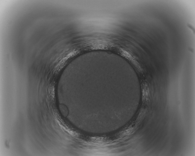 X0000100220211200806201516