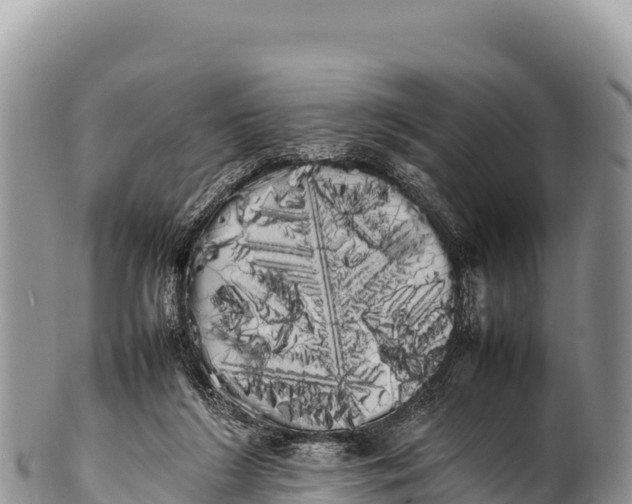 X0000100220212200806201516