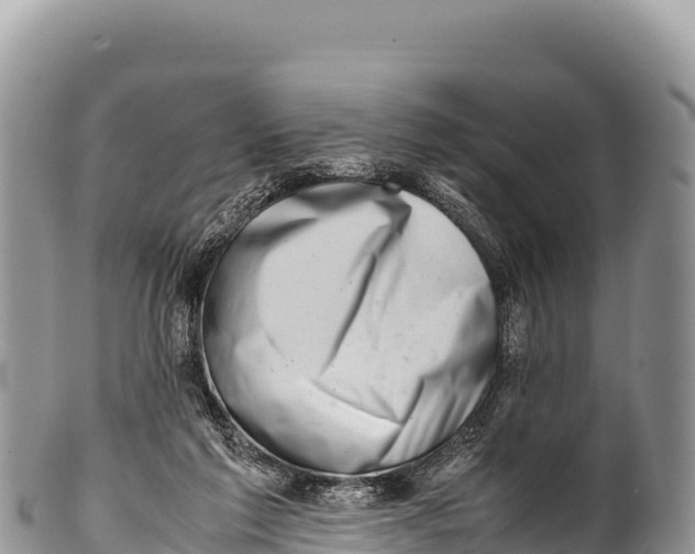 X0000100220213200806201516