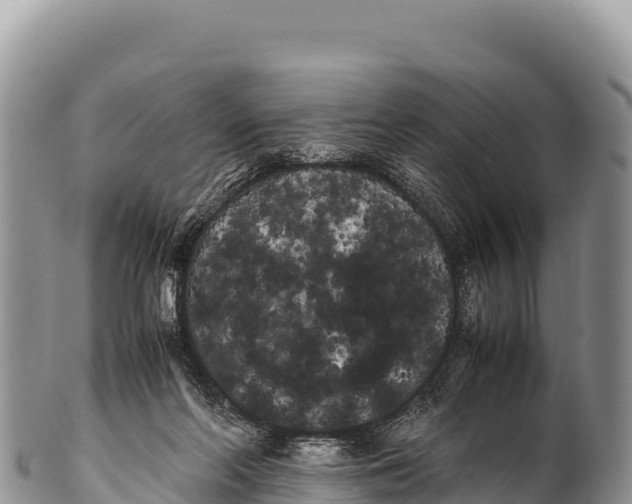 X0000100220214200806201515