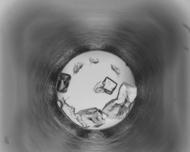 X0000100220215200806201515