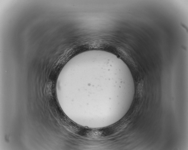 X0000100220217200806201515