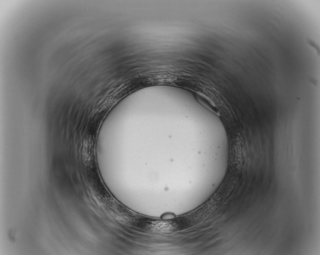 X0000100220218200806201515