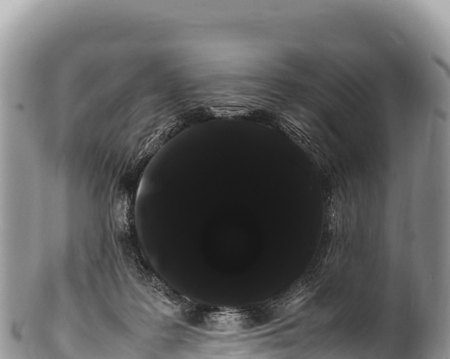 X0000100220219200806201515