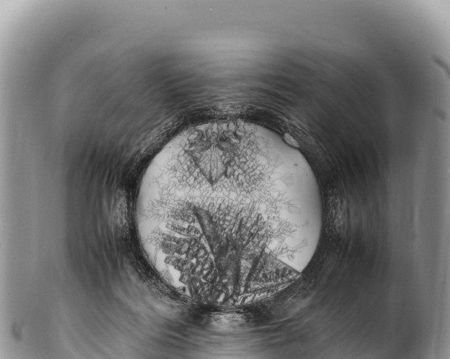 X0000100220220200806201515