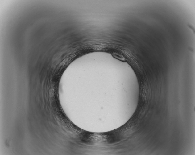 X0000100220221200806201515