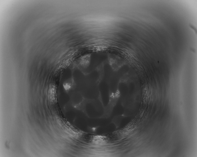 X0000100220222200806201515