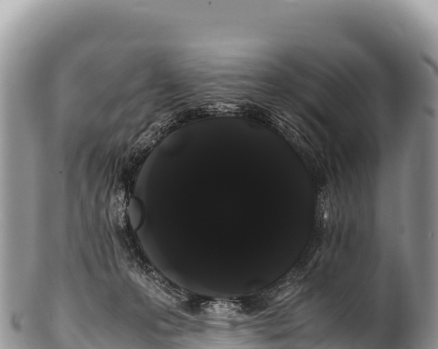 X0000100220223200806201515