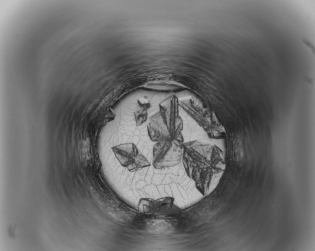 X0000100220224200806201515