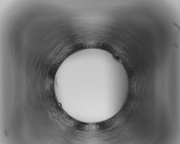 X0000100220225200806201515