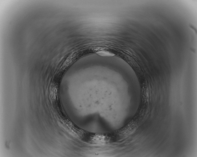 X0000100220227200806201515