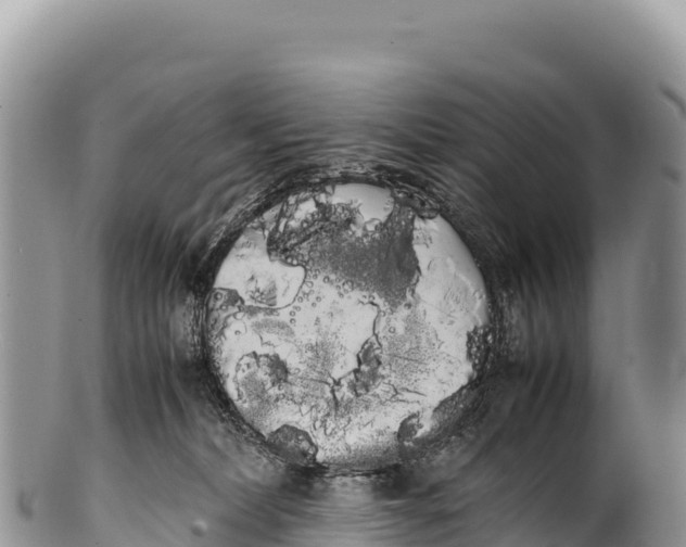 X0000100220228200806201515