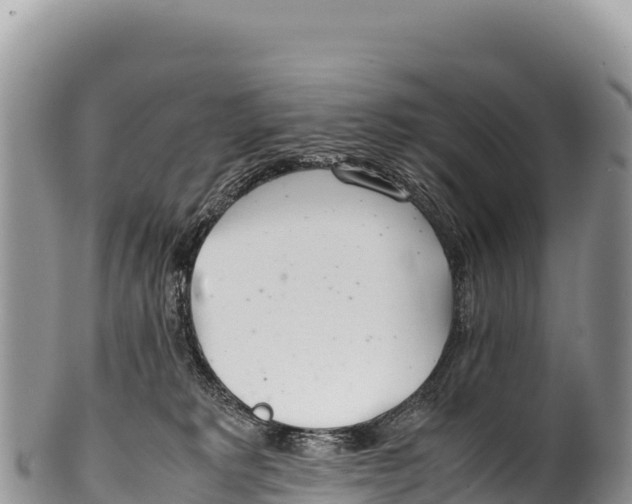 X0000100220229200806201515