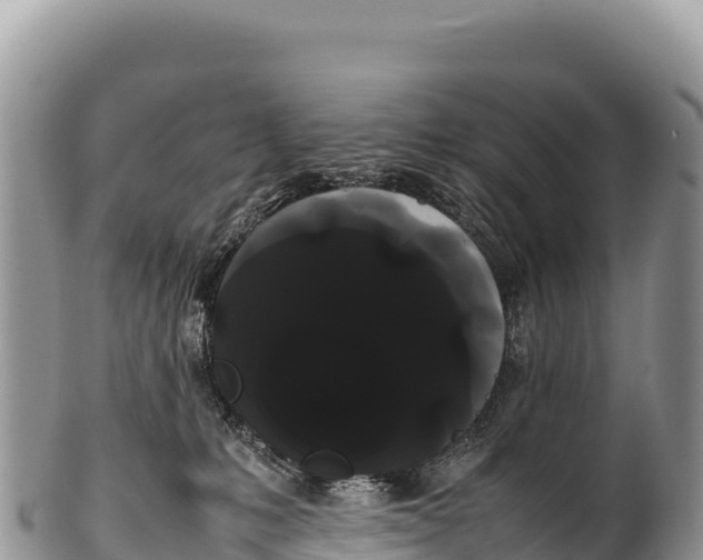 X0000100220231200806201515