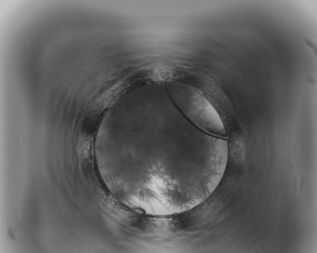 X0000100220233200806201515